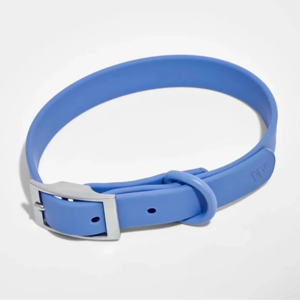 Wild One Dog Collar - M (12-15